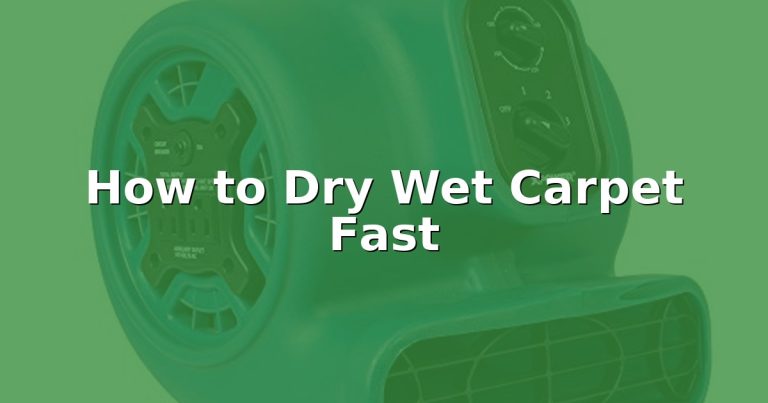 How to Dry Wet Carpet Fast