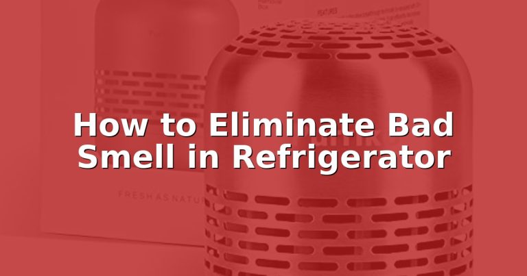 How to Eliminate Bad Smell in Refrigerator