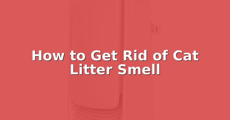 How to Get Rid of Cat Litter Smell