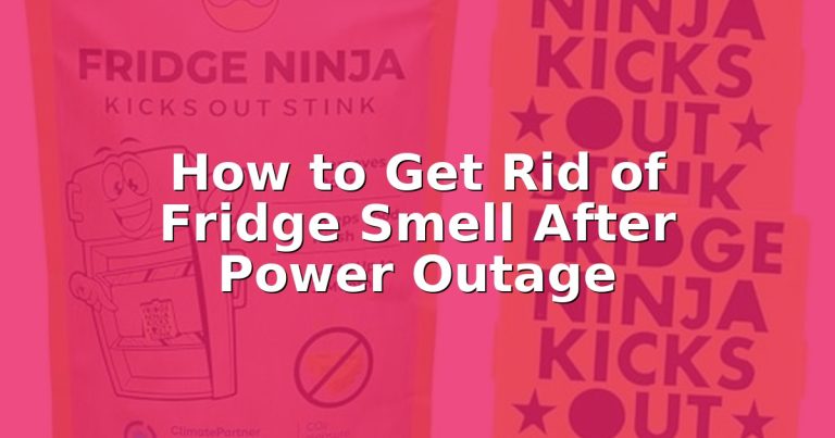 How to Get Rid of Fridge Smell After Power Outage