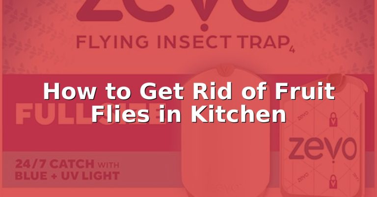 How to Get Rid of Fruit Flies in Kitchen