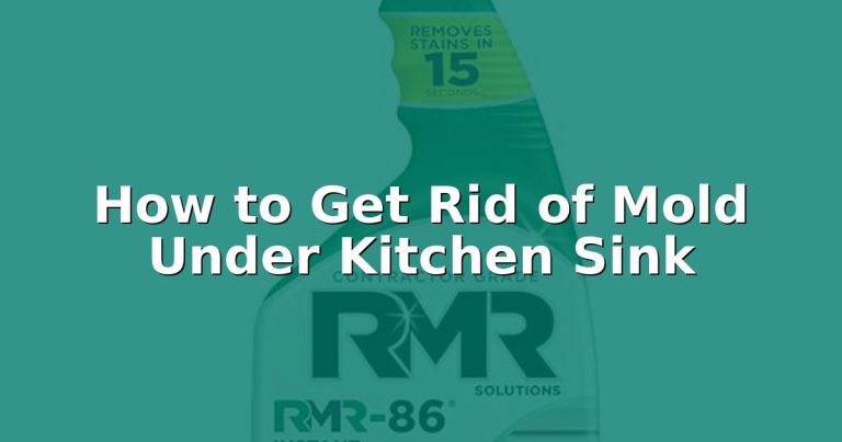 How to Get Rid of Mold Under Kitchen Sink