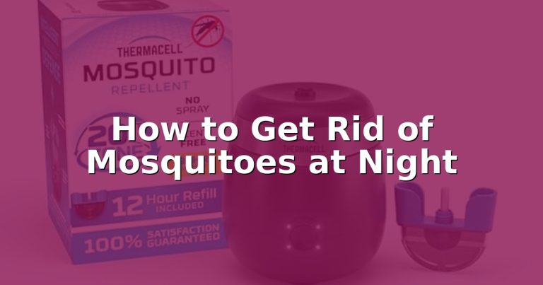 How to Get Rid of Mosquitoes at Night