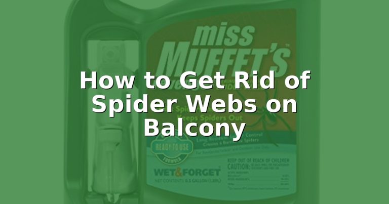 How to Get Rid of Spider Webs on Balcony