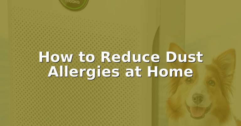 How to Reduce Dust Allergies at Home