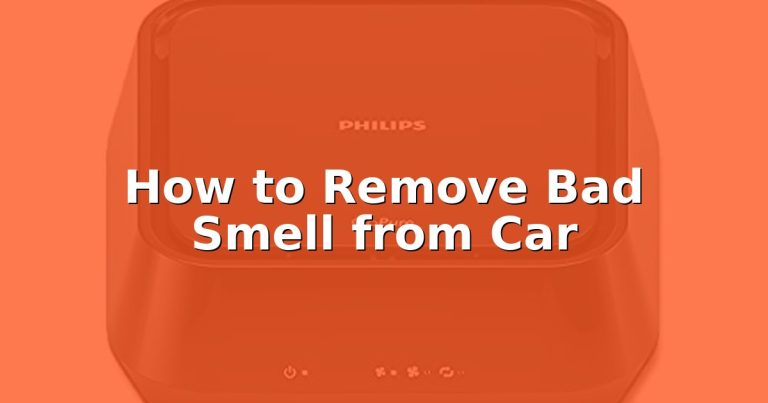 How to Remove Bad Smell from Car