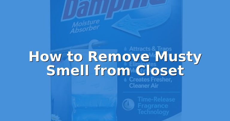 How to Remove Musty Smell from Closet