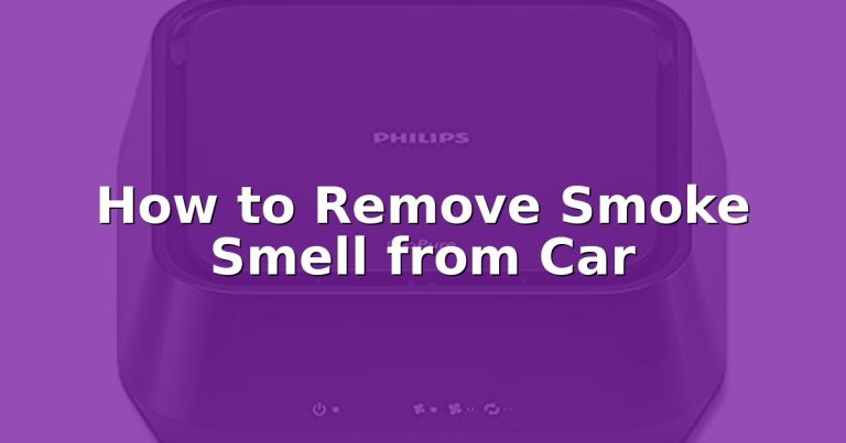 How to Remove Smoke Smell from Car