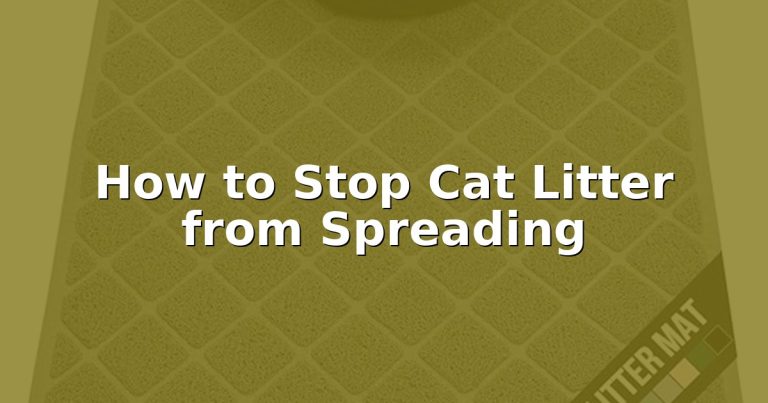 How to Stop Cat Litter from Spreading