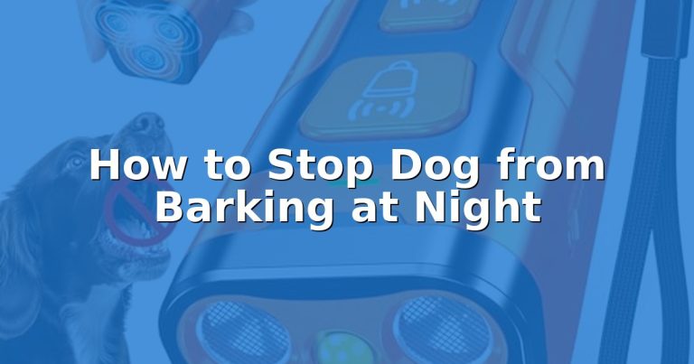 How to Stop Dog from Barking at Night