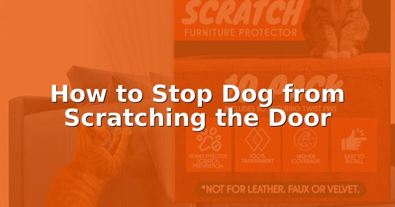 How to Stop Dog from Scratching the Door