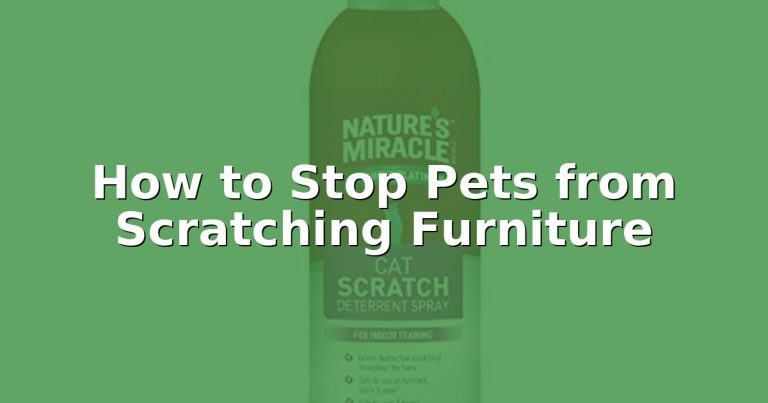 How to Stop Pets from Scratching Furniture
