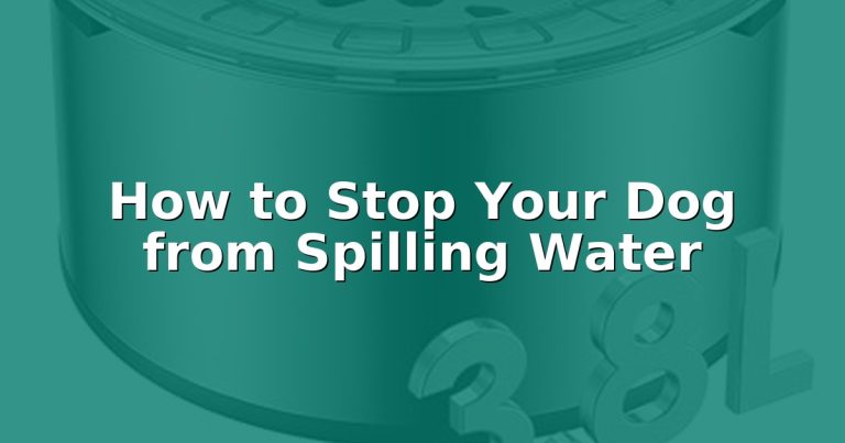 How to Stop Your Dog from Spilling Water